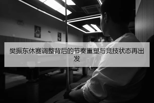 樊振东休赛调整背后的节奏重塑与竞技状态再出发