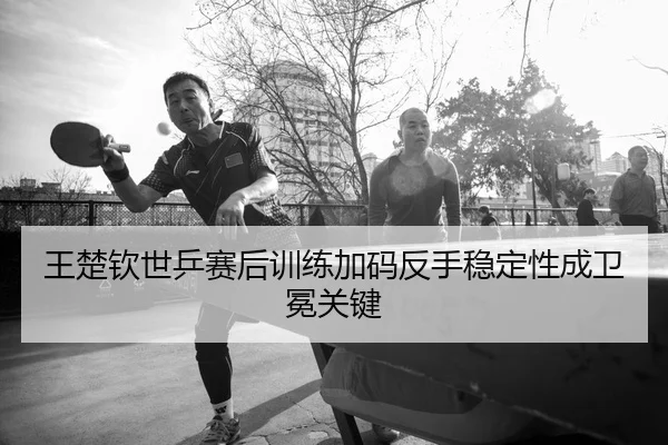 王楚钦世乒赛后训练加码反手稳定性成卫冕关键